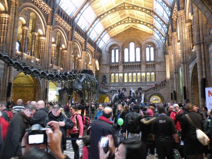  vue générale du grand Hall du museum d'histoire naturelle